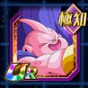 int fat buu