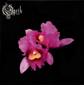 Orchid
