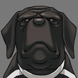 Helmut