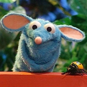 Tutter