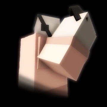Barrager