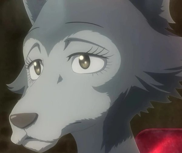 Toki