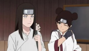 Neji & Tenten [naruto]