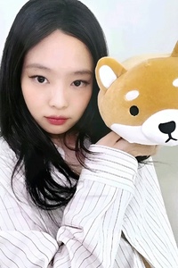 shiba