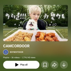 Camcordoor