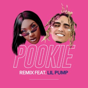 Pookie Remix (Lil Pump)