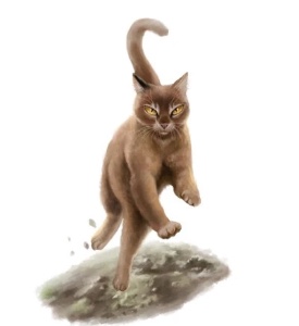 Antpelt
