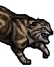 Fenneldust