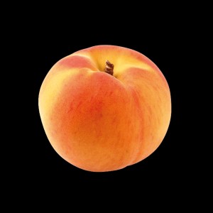 Apricot
