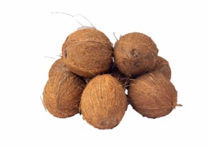 Coconut