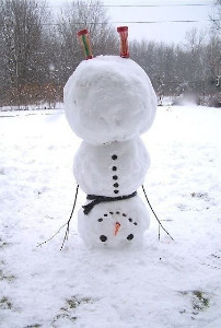 build a snowman