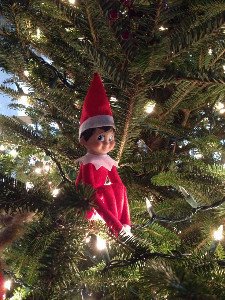 elves