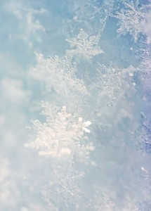 snowflakes