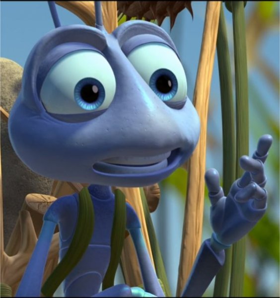 Flit
