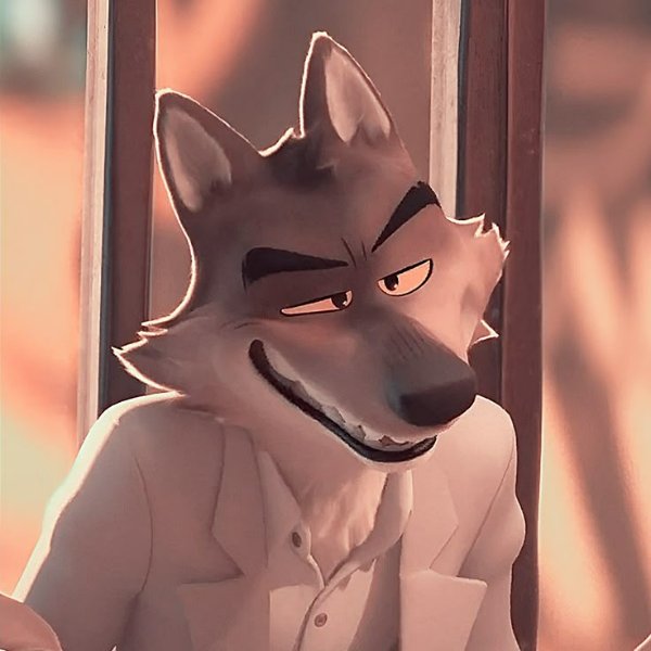 Mr Wolf