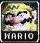 Wario