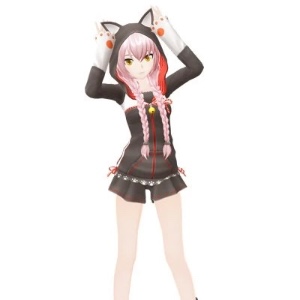 Kitty Ears Hoodie