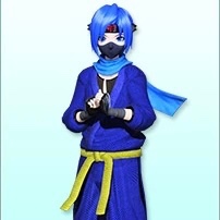 VF Ninja
