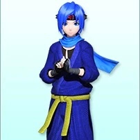 VF Ninja AS