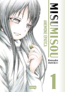 Misu Musou