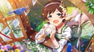 Hinata Kinoshita