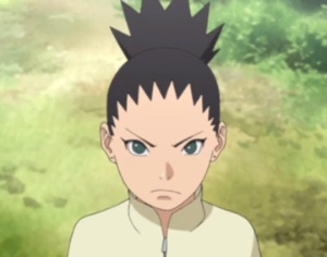 Shikadai