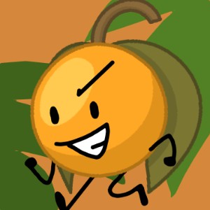 Physalis