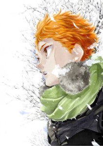 Shoyou Hinata (Haikyuu)