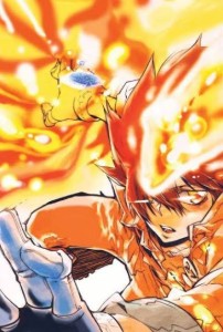 Tsunayoshi Sawada (Katekyo Hitman Reborn)