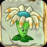 Bloomerang