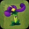 Nightshade