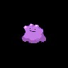 Ditto