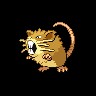 Raticate