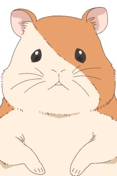 Ham-chan