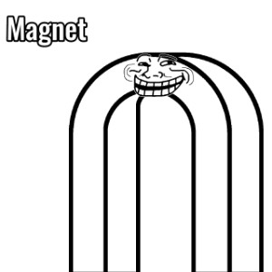 Magnet