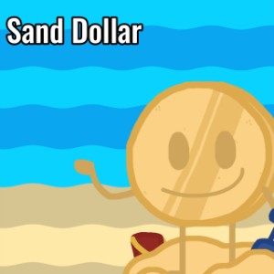 Sand Dollar