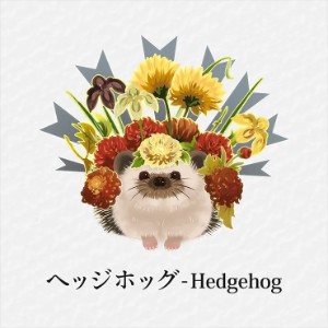 Hedgehog