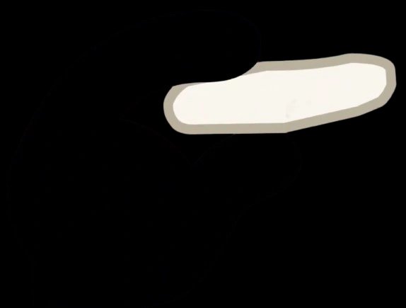 A grain of rice