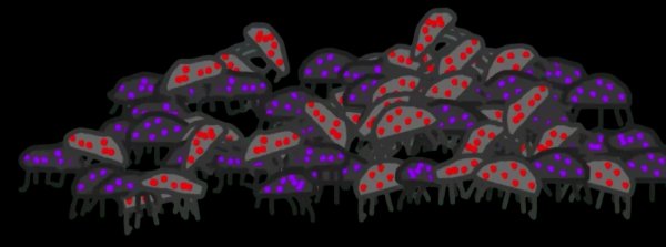 Bugs