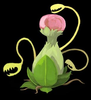 Snake Plant