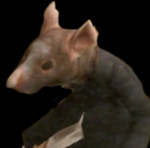 Rat Imp