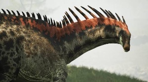 Amargasaurus