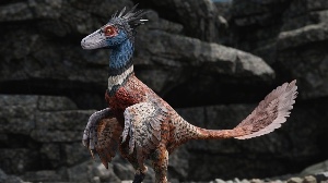 Deinonychus
