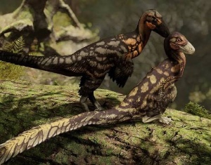 Latenivenatrix