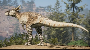 Pachycephalosaurus