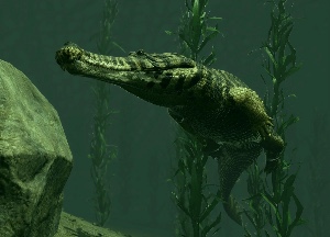 Sarcosuchus