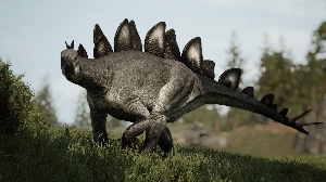 Stegosaurus