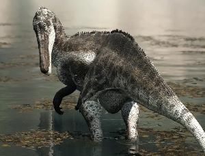 Suchomimus