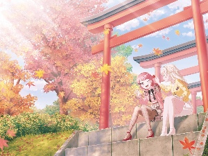Ayachisa