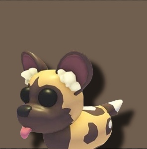 Bongo